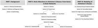 Bridging Scales in Alzheimer's Disease: Biological Framework for Brain Simulation With The Virtual Brain